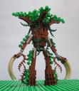 ent-01.jpg