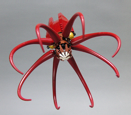 giant-squid-03.jpg