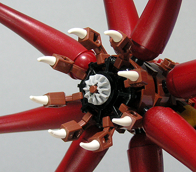 giant-squid-04.jpg