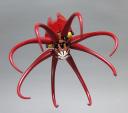 giant-squid-03.jpg
