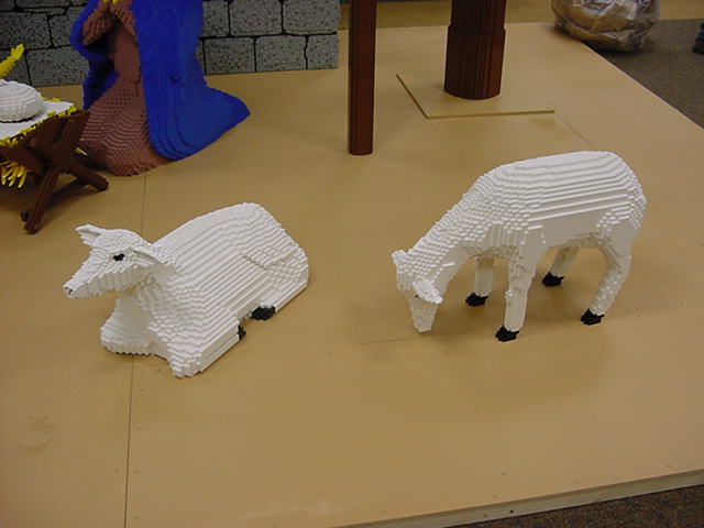 015_sheep.jpg