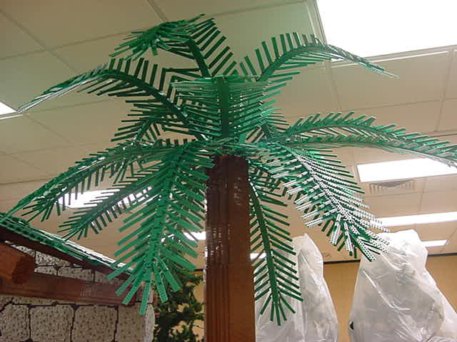 016_palm_tree.jpg