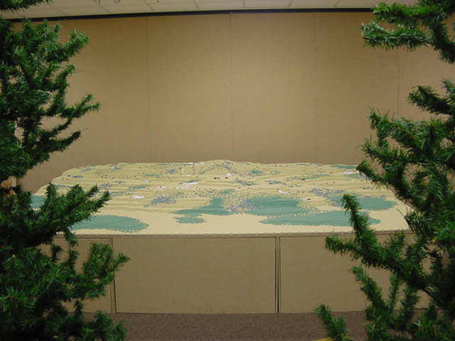036_in_the_forest.jpg