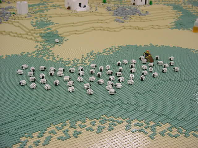 058_flock.jpg