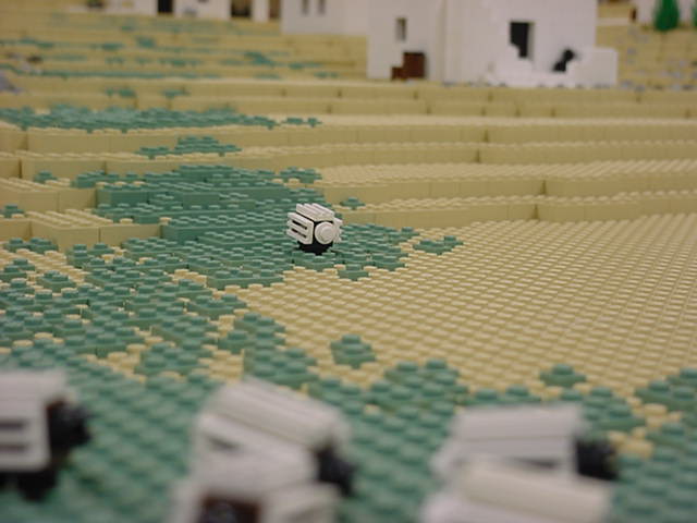 060_lost_sheep.jpg