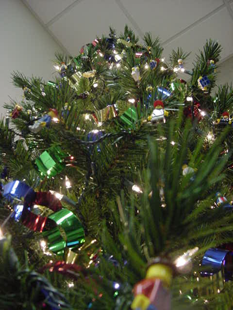 104_tree.jpg
