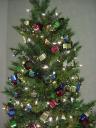 102_tree.jpg