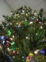 104_tree.jpg