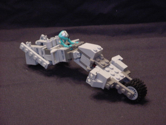 morphosis01.jpg