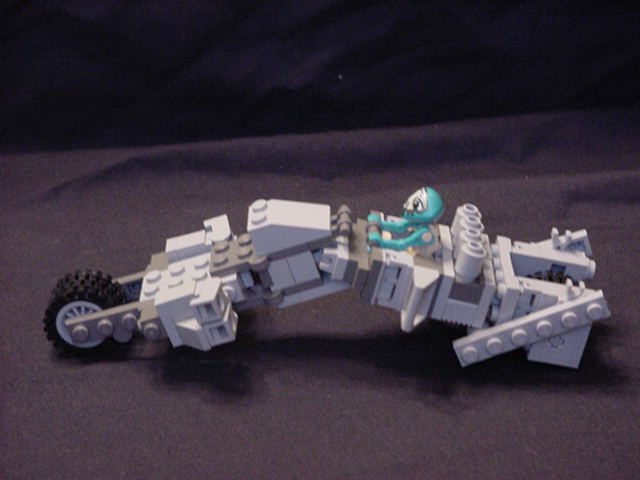 morphosis03.jpg