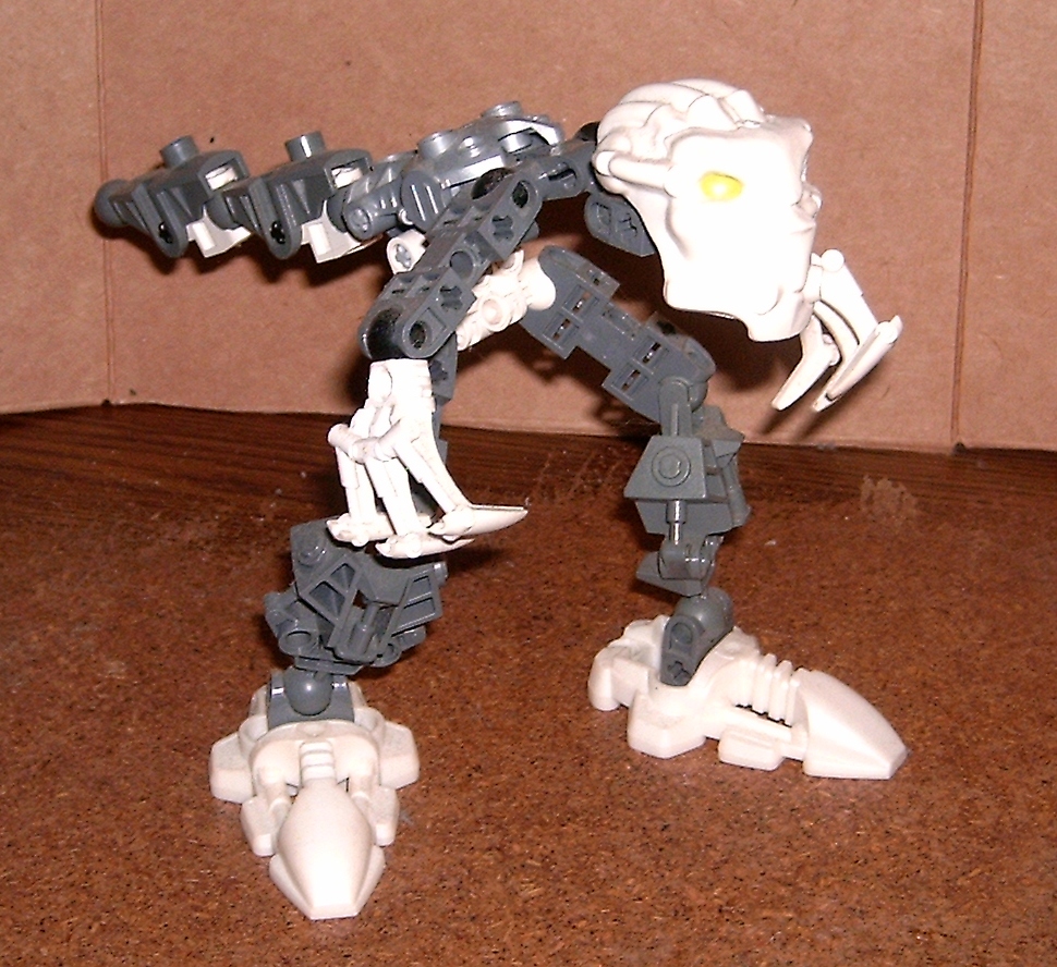 dkora_5.jpg
