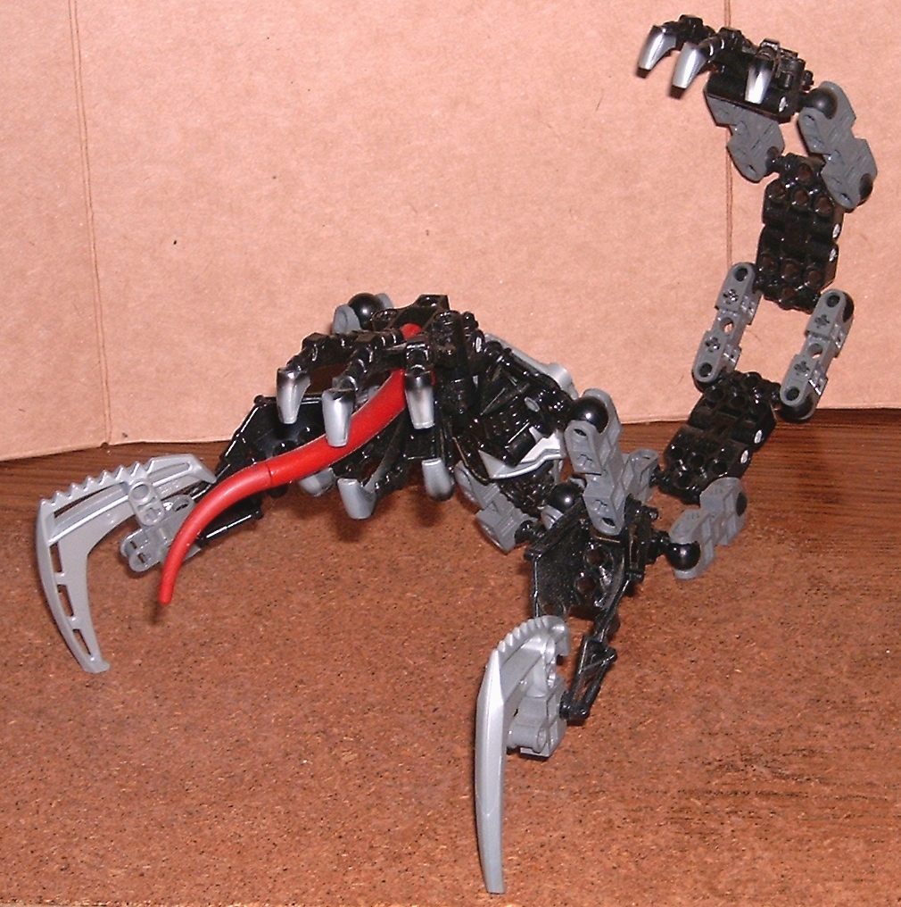 maw.jpg