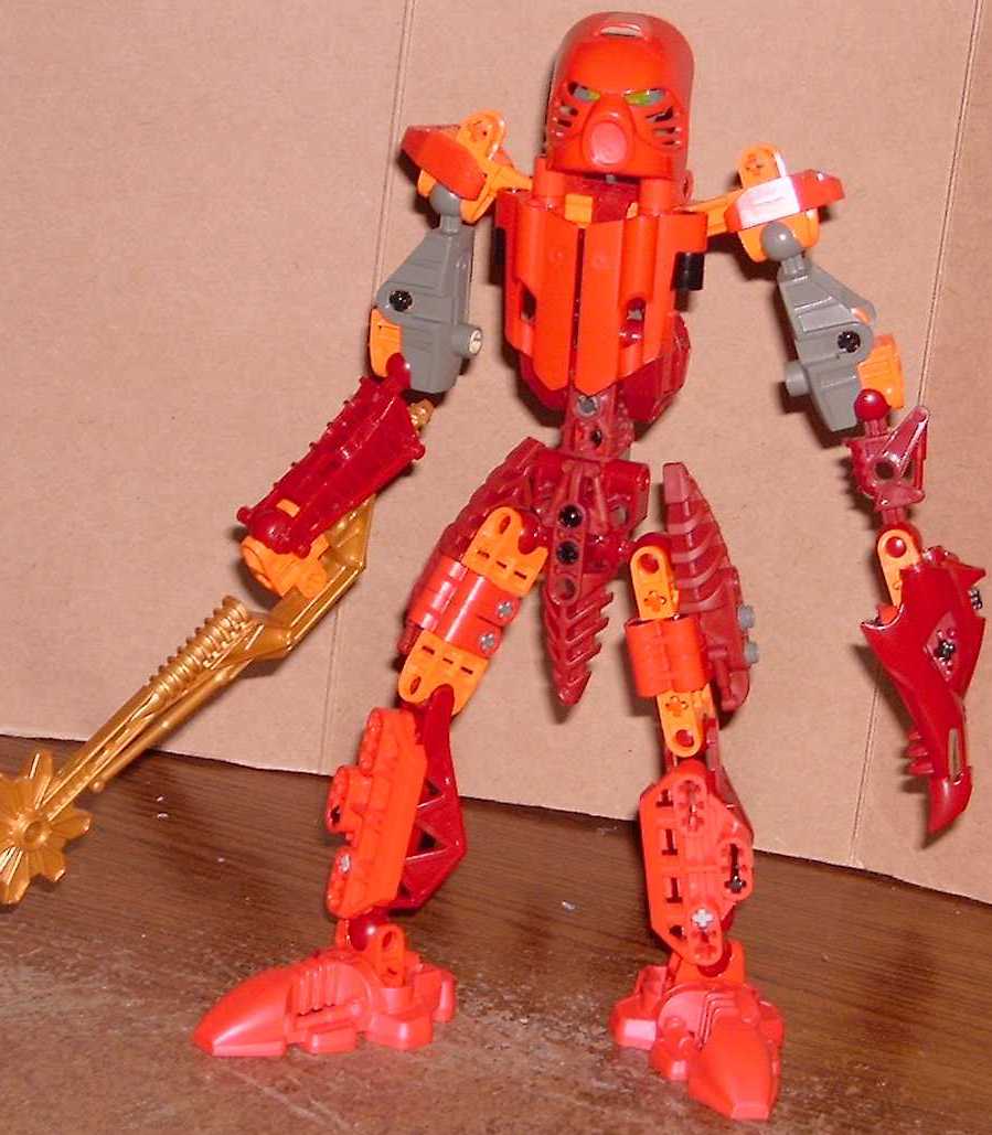tahu_kea.jpg