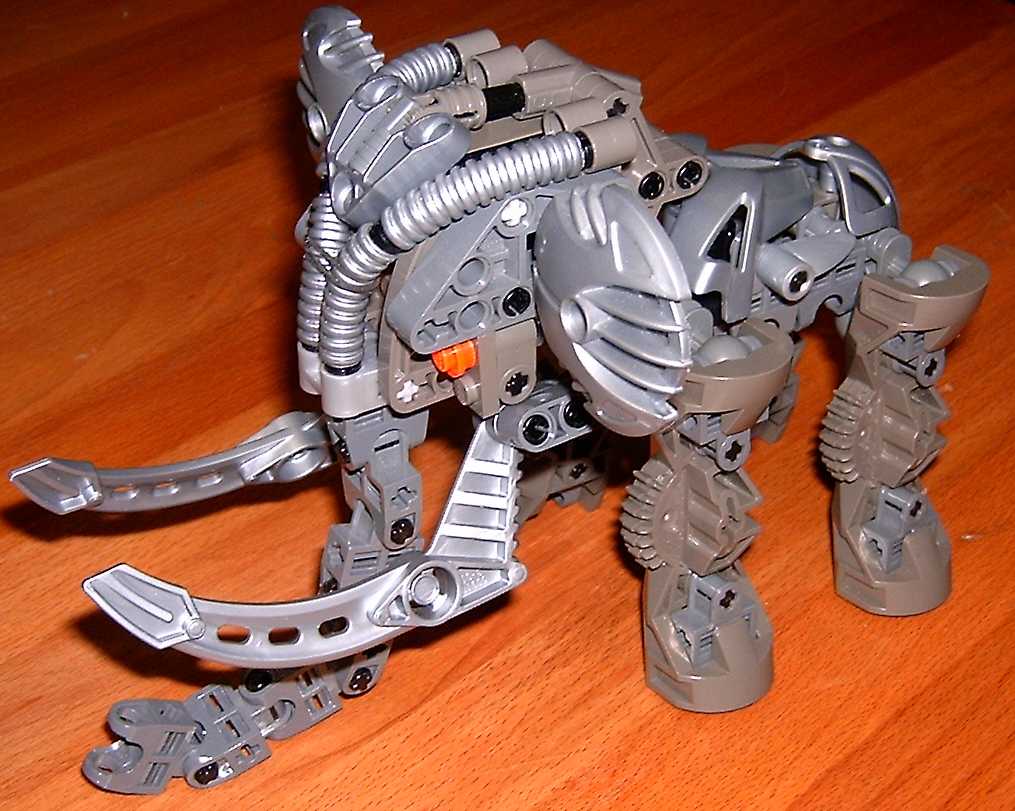 armodon.jpg