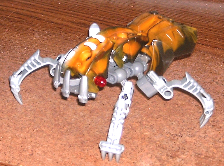 goldbeetle.jpg