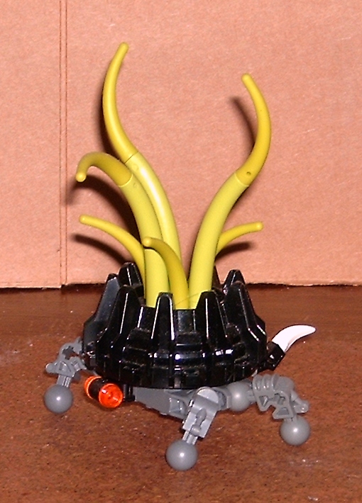 helturtle.jpg