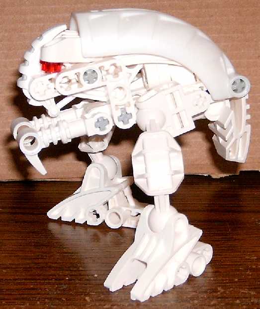kangadillo.jpg
