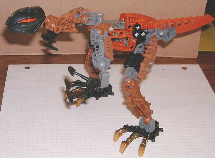 raptor.jpg