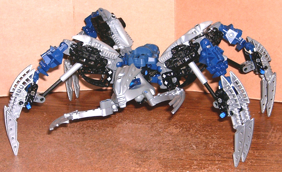 mandible.jpg