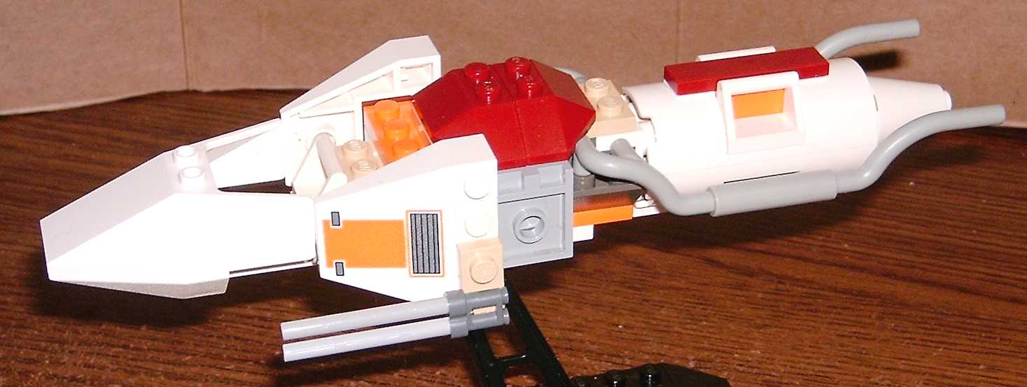 body.jpg