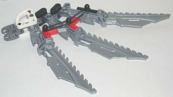 wing_1.jpg