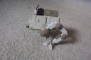 at-pt_002.jpg