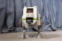 at-pt_006.jpg