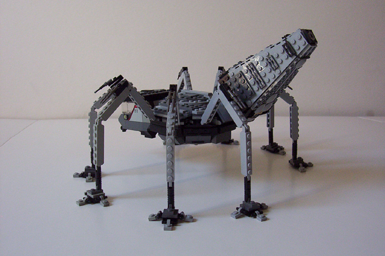 mt-at_005.jpg