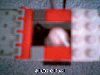picture_77.jpg