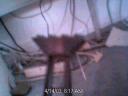 picture_79.jpg