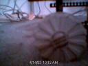 picture_85.jpg