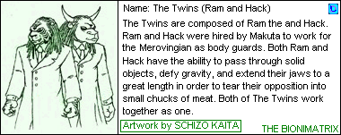 bionimatrix-card-twins-sk.gif