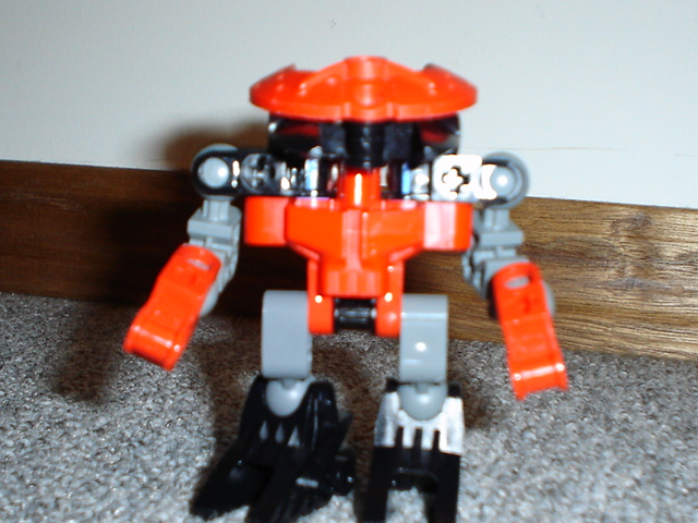 bionicles_095.jpg