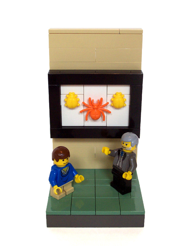 07_entemology_spider_and_bugs.jpg