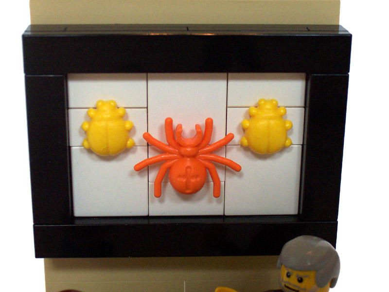 08_entemology_spider_and_bugs.jpg