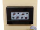 12_entemology_spiders.jpg