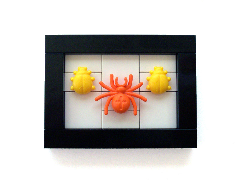 23_entomology_spider_and_ladybugs.jpg