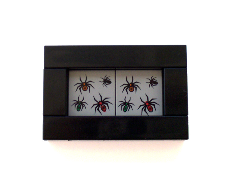 25_entemology_spiders.jpg