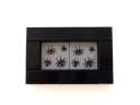 25_entemology_spiders.jpg