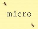 Micro