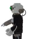14_legcutus_borg.jpg