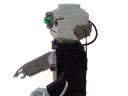 15_legcutus_borg.jpg