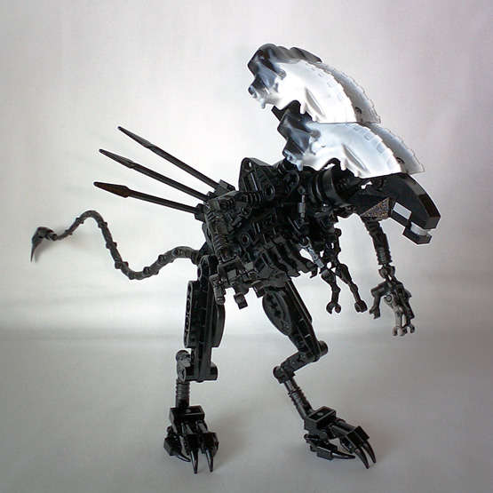 avp-12.jpg