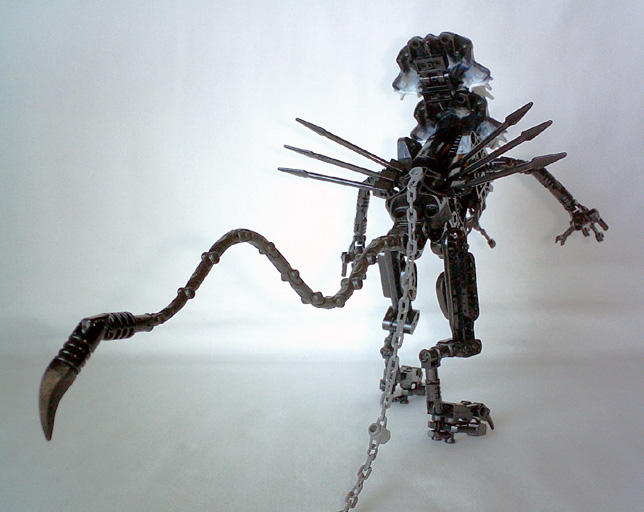 avp-13.jpg