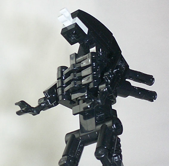 newwarrior-03.jpg
