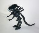 newwarrior-02.jpg