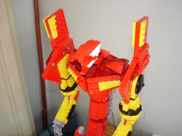 eva_front_head.jpg