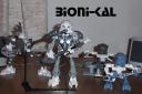 Bioni-Kal