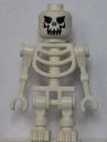 skeleton.jpg