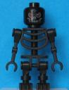 skeleton1.jpg
